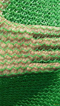 綠色3針工地蓋土網(wǎng) 實(shí)體廠家直銷的高效防塵解決方案