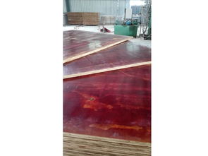 出售漳州暢銷全桉木苯酚面膜板 膠合板公司