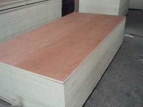 全楊木多層膠合板