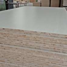  費(fèi)縣新天財(cái)板廠 主營 膠合板,貼面板,家