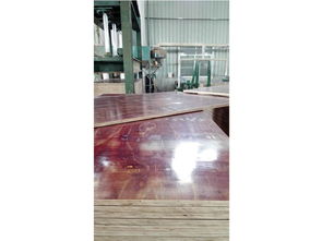 專業膠合板與全桉木苯酚面膜板 物超所值的建材選擇及廠家供應優勢