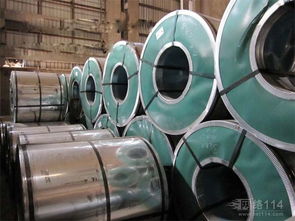 膠合板 特性、應用與選購指南